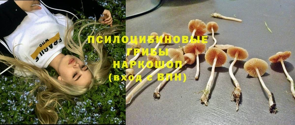 a pvp Волоколамск