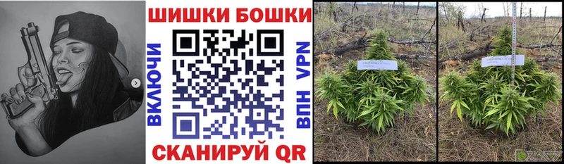 Купить где  Сибай  Каннабис White Widow 